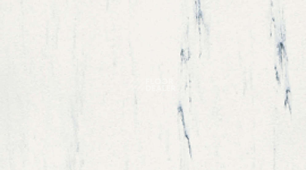 Линолеум Classic Imperial 2mm 0103 WHITE фото 1 | FLOORDEALER